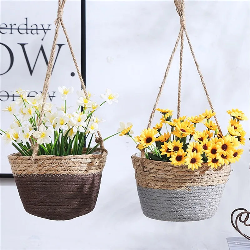 Panier suspendu plante