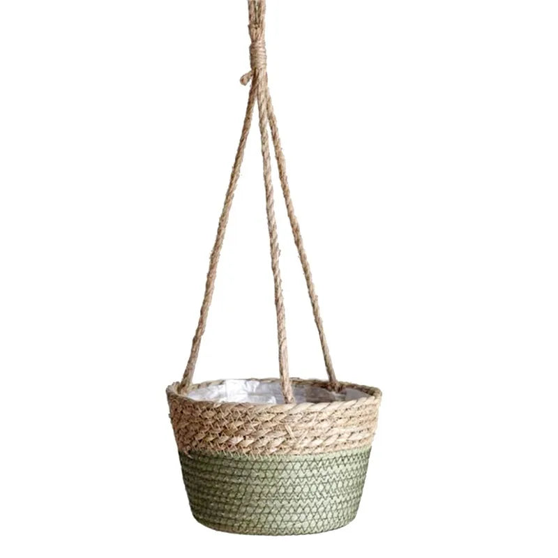 Panier suspendu plante