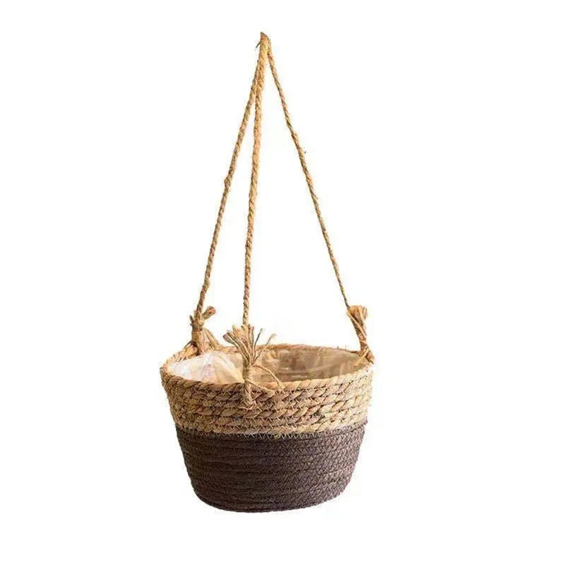 Panier suspendu plante