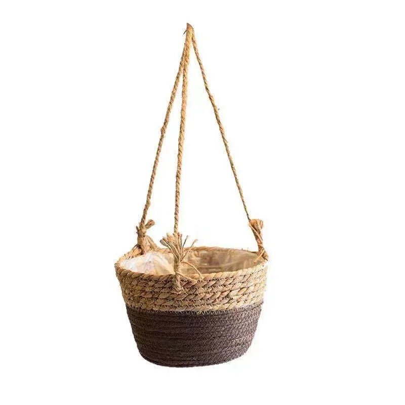 Panier suspendu plante