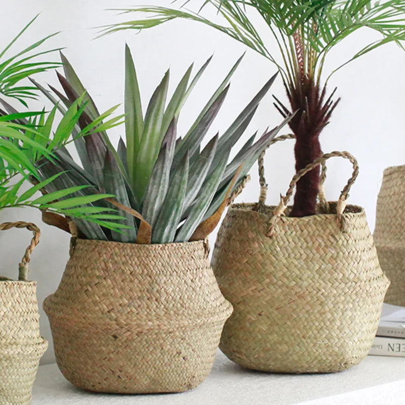 grand panier en osier pour plante