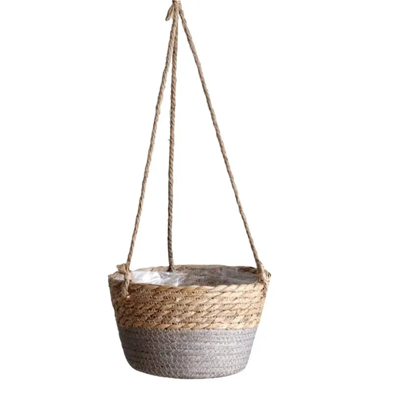 Panier suspendu plante