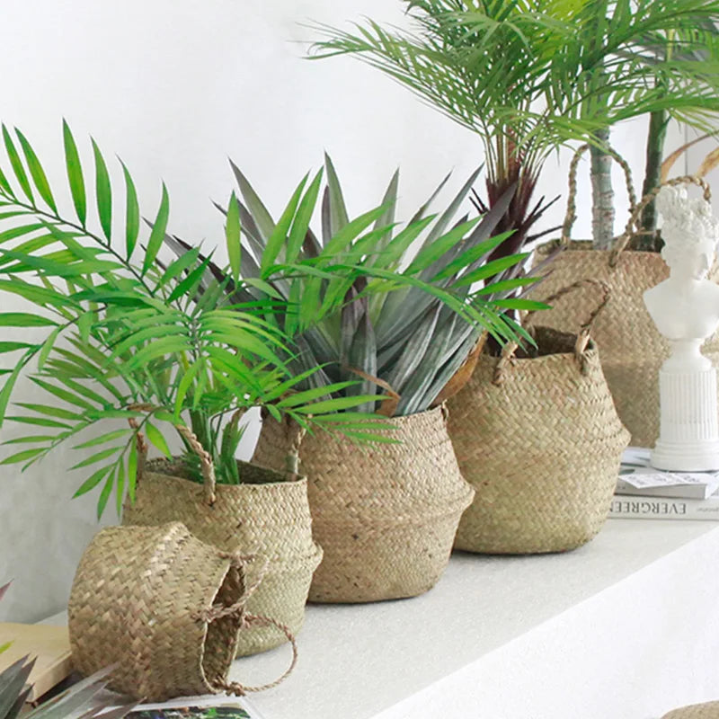 grand panier en osier pour plante