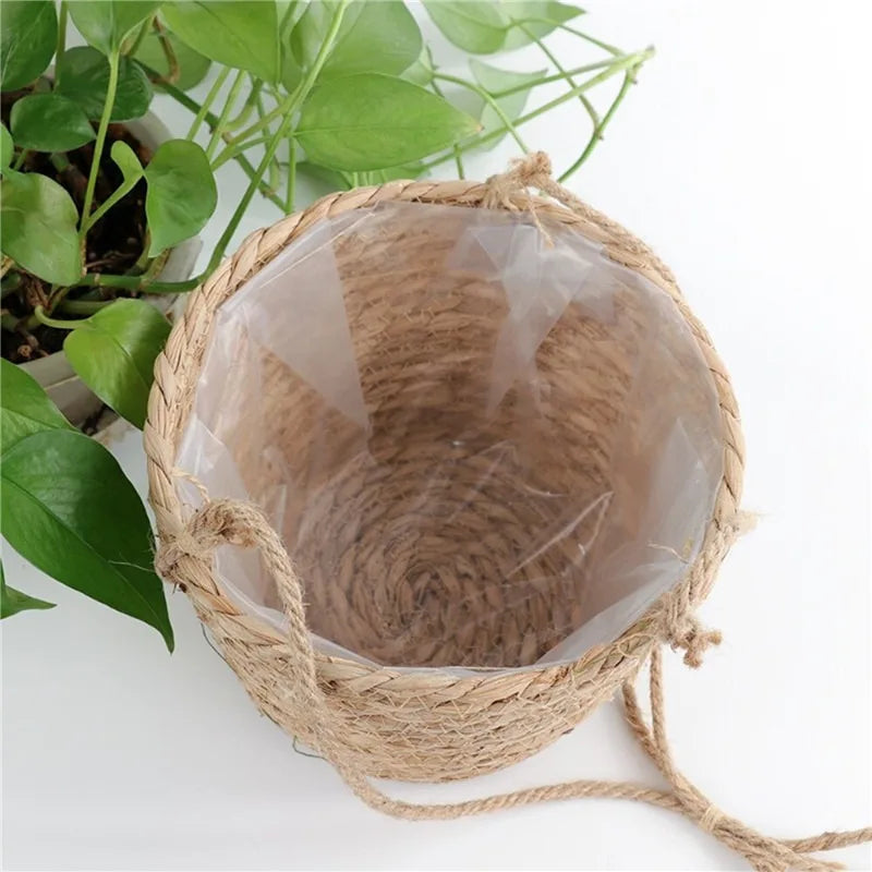 Panier suspendu plante