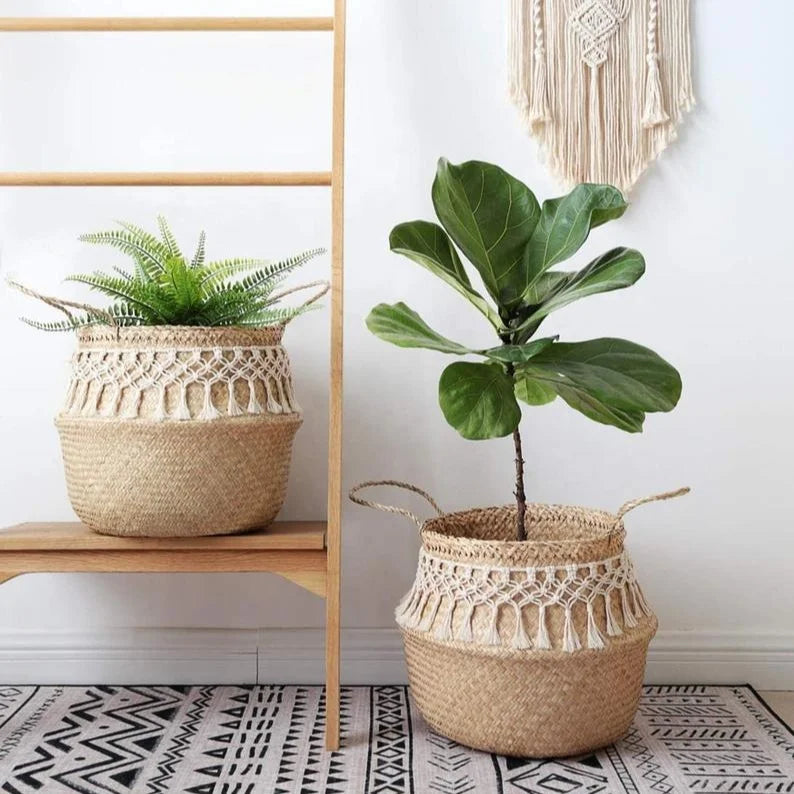Panier pour plante intérieur