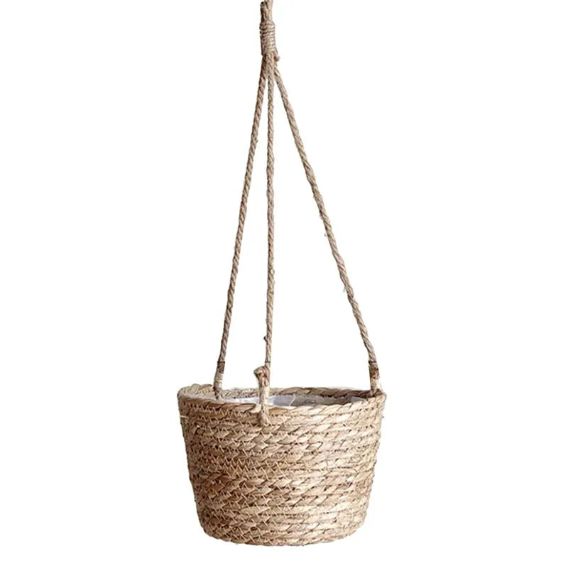 Panier suspendu plante