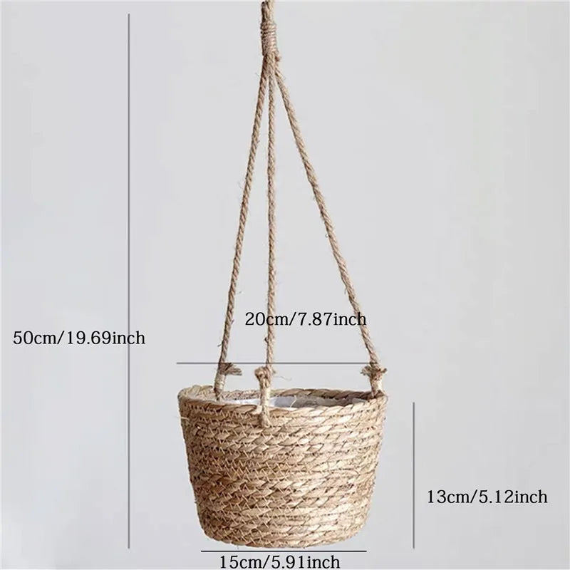 Panier suspendu plante