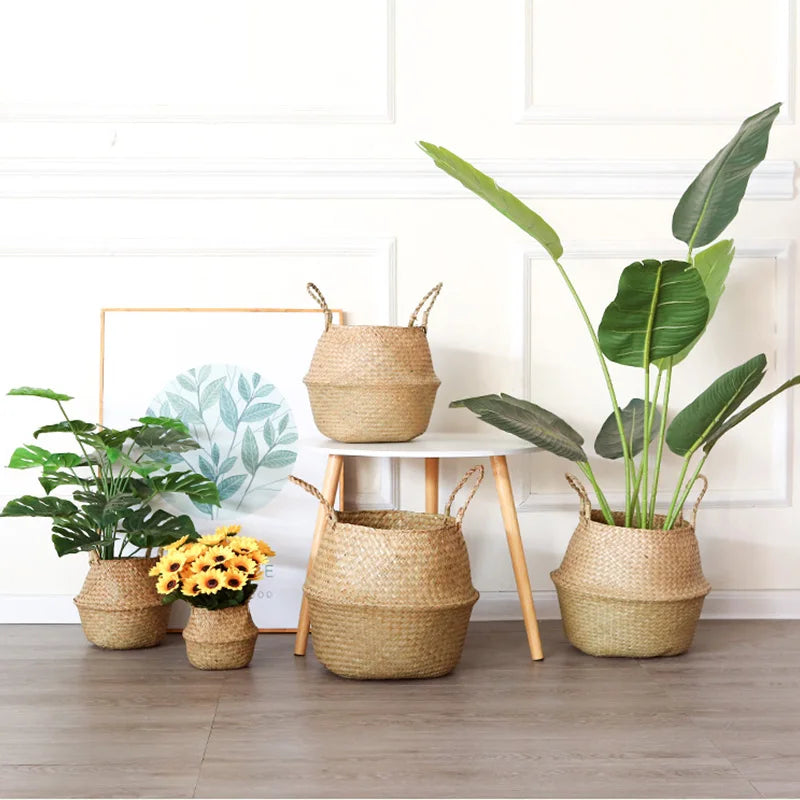grand panier en osier pour plante