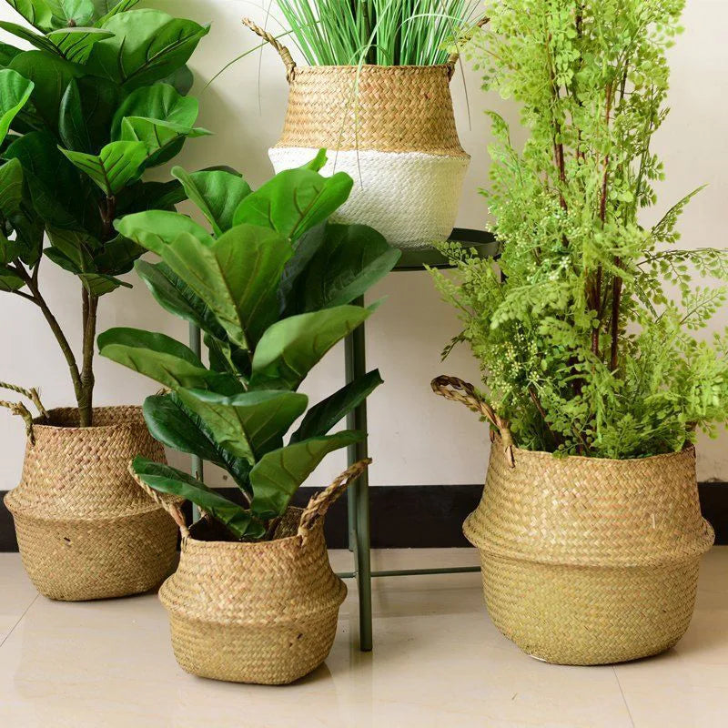 grand panier en osier pour plante