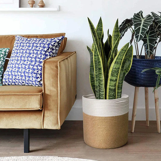 Grand panier pour plante