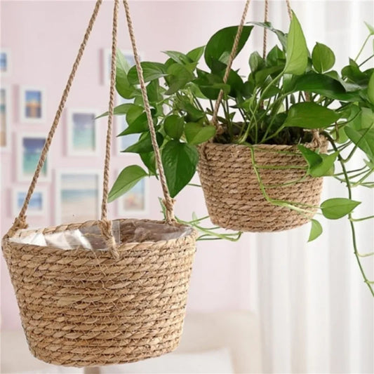 Panier suspendu plante