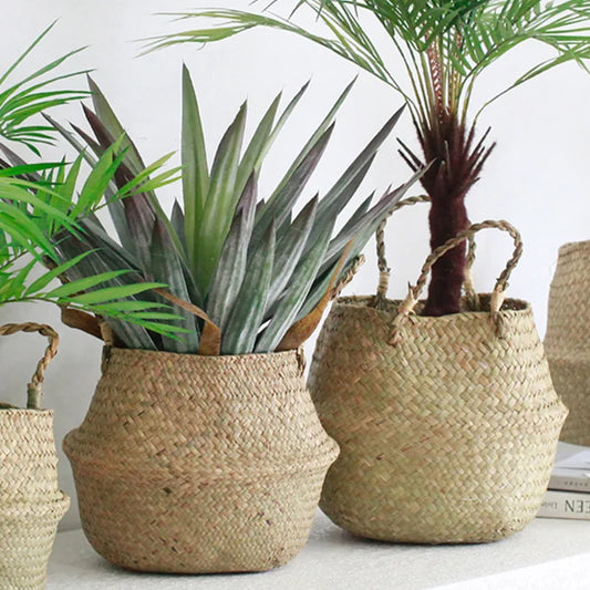 grand panier en osier pour plante