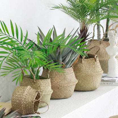 grand panier en osier pour plante