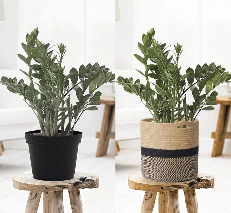 Grand panier pour plante